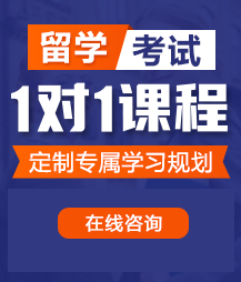 啊操逼你懂的视频留学考试一对一精品课